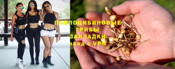 МДПВ Алзамай