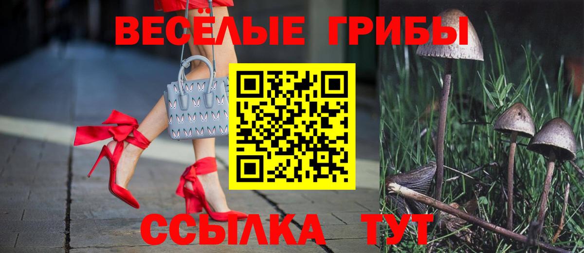 Псилоцибиновые грибы мухоморы  Вход с VPN  Туймазы 